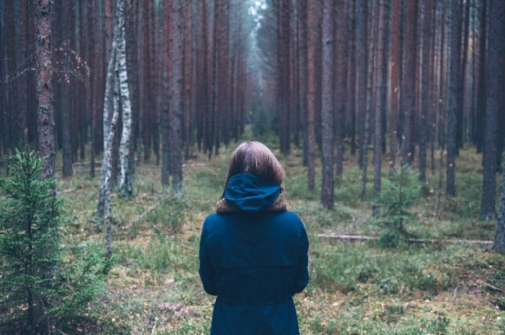 We're looking at the back of a woman dressed in a navy raincoat and woollen scarf. She's looking into a forest - long lines of just trees trunks are visible.