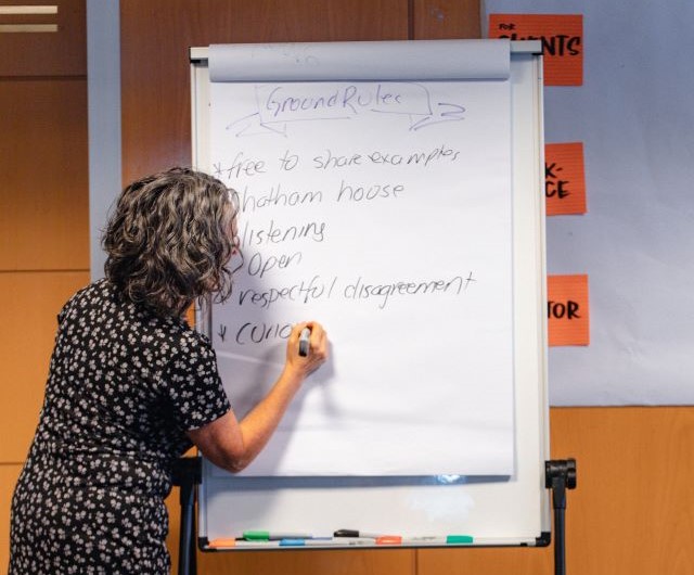 I'm standing in front of a large, white notepad on a standing writing the 'ground rules' for a workshop. You can see the back of my curly head and arm. I'm wearing a black dress with little white flowers.